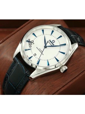 Omega Seamaster Aqua Terra Watch