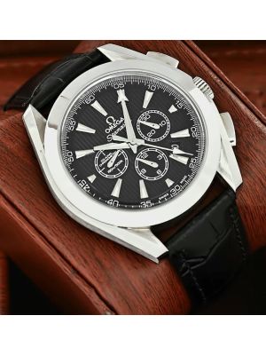 Omega Seamaster Aqua Terra Watch