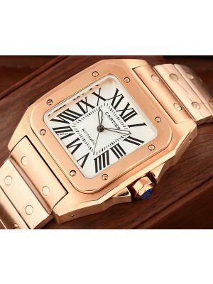 Cartier Santos de Cartier Watch