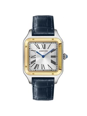 Cartier Santos Dumont Two Tone Blue straps Unisex Watch