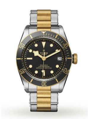TUDOR Black Bay  S&G Watch