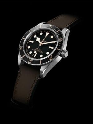 Tudor Heritage Black Bay Watch